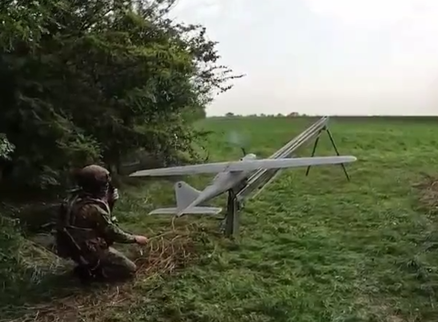 Симба и Орлан 2025-07-01_17-07-21 (2)